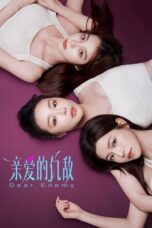 Drama China Dear Enemy (2025)