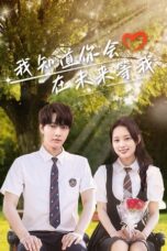 Drama China Love Through Time (2025)