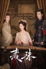 Drama China Hidden Love (2025)